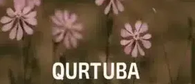 Qurtuba New Capital
