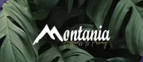 Montania Zayed