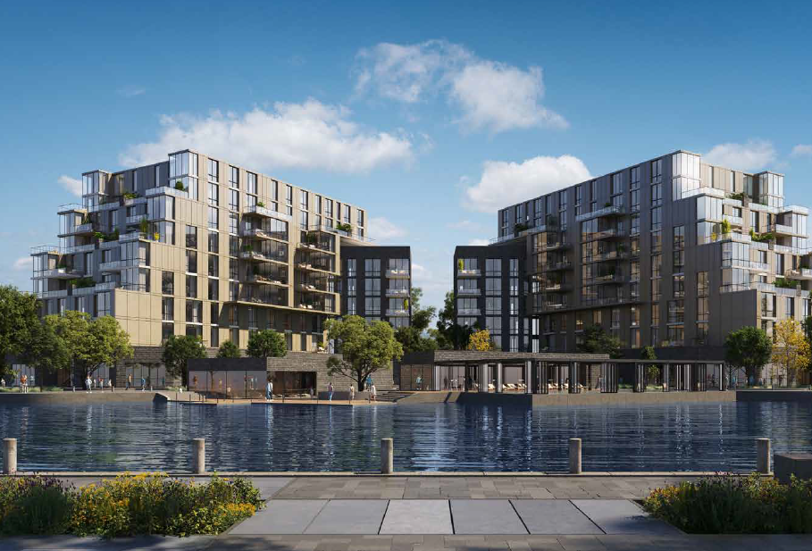 205 Arkan Palm 4