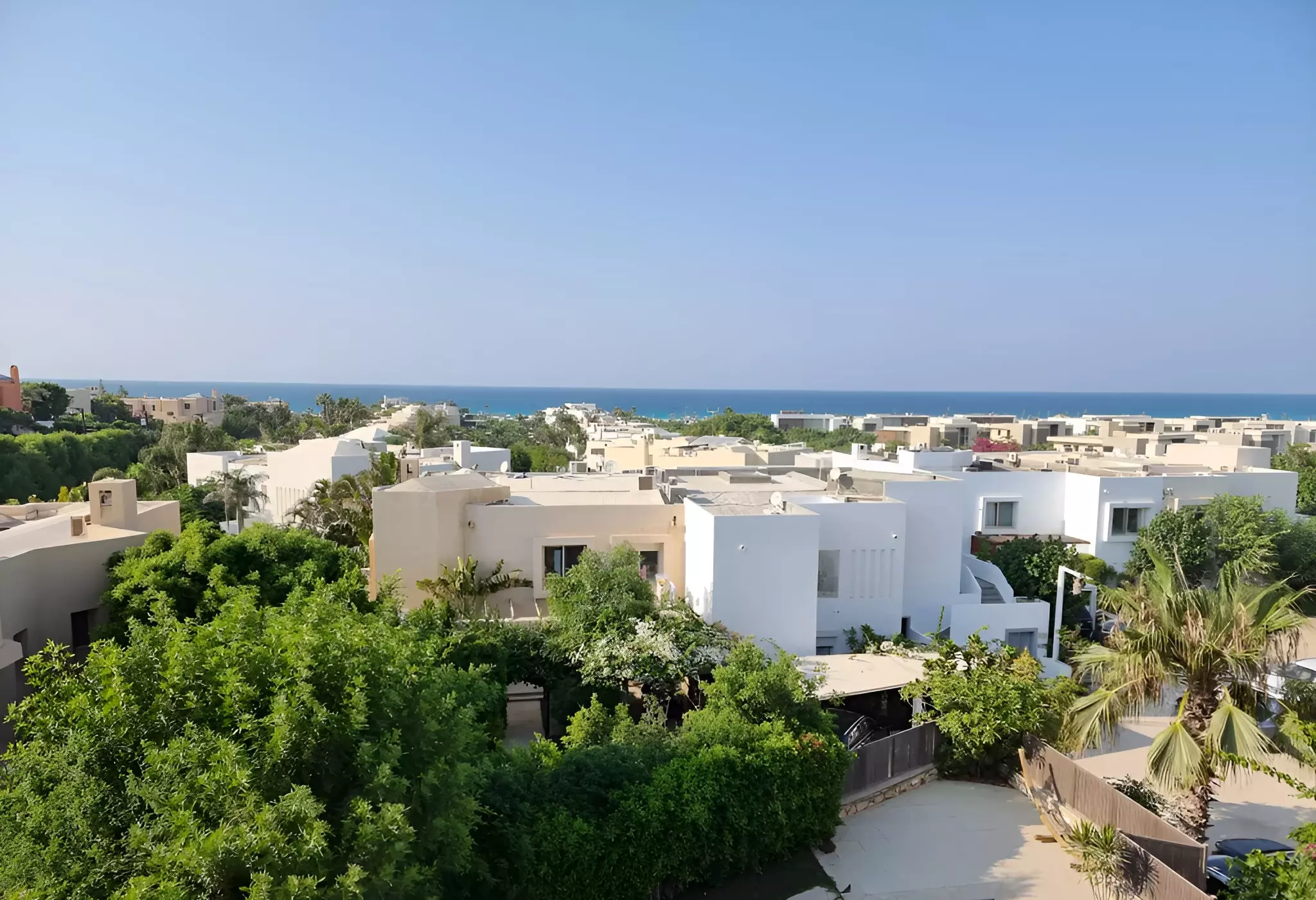 هيسيندا ريد 3