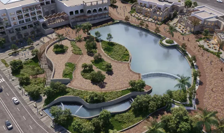 205 Compound 205 Zayed