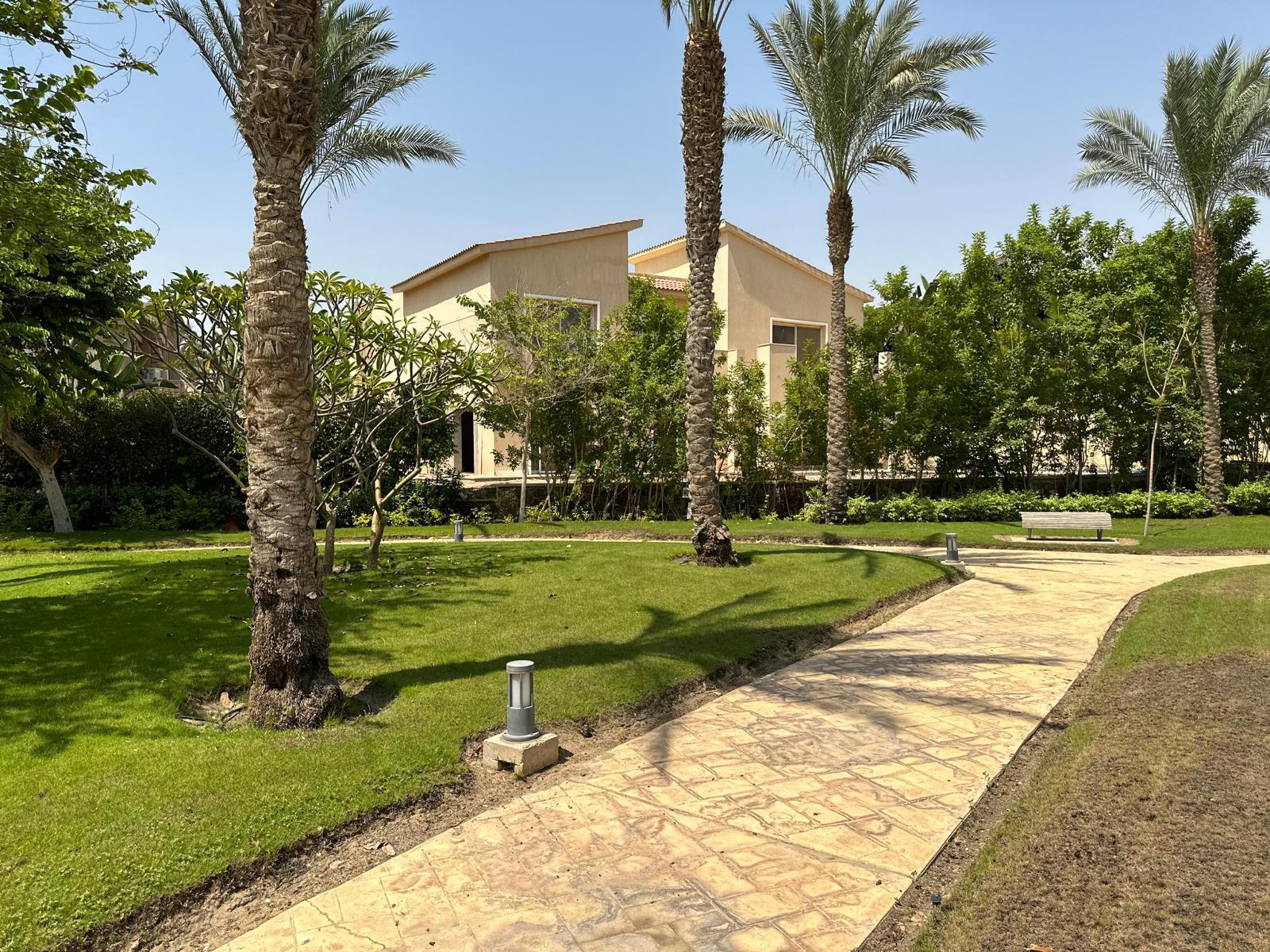 بحيرة البجع قطامية
