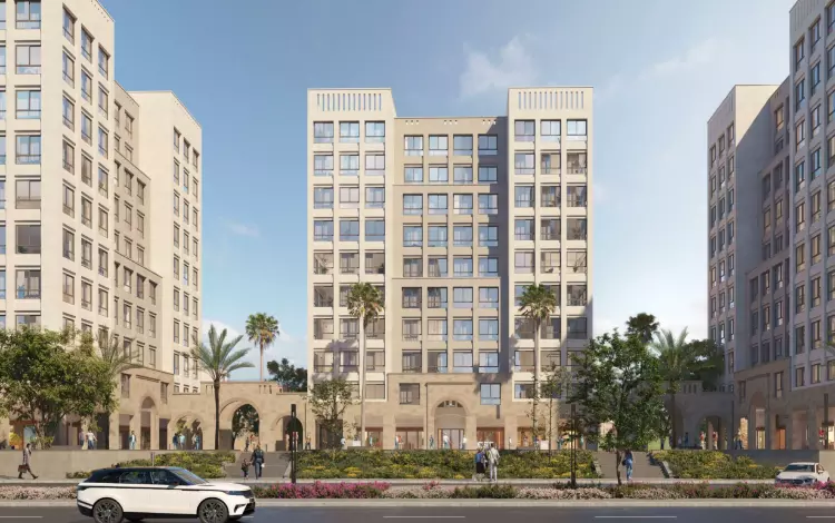 205 Compound 205 Zayed 2
