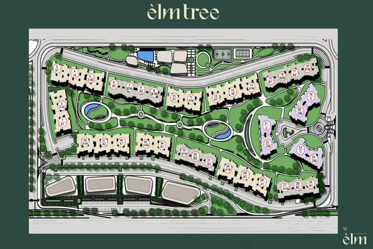 Compound Elm Tree October master plan
