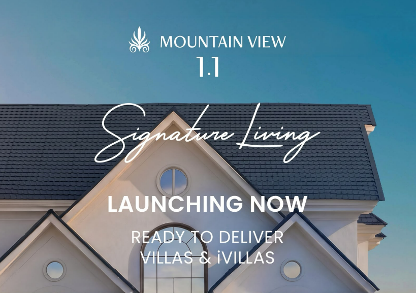 Mountain View 1.1-Phase 2