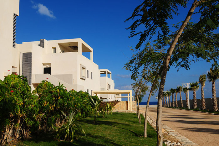Hacienda White 5