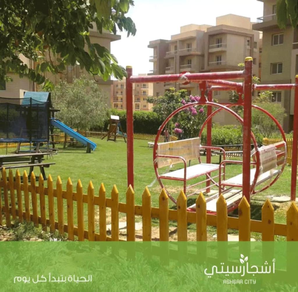 أشجار سيتي 3