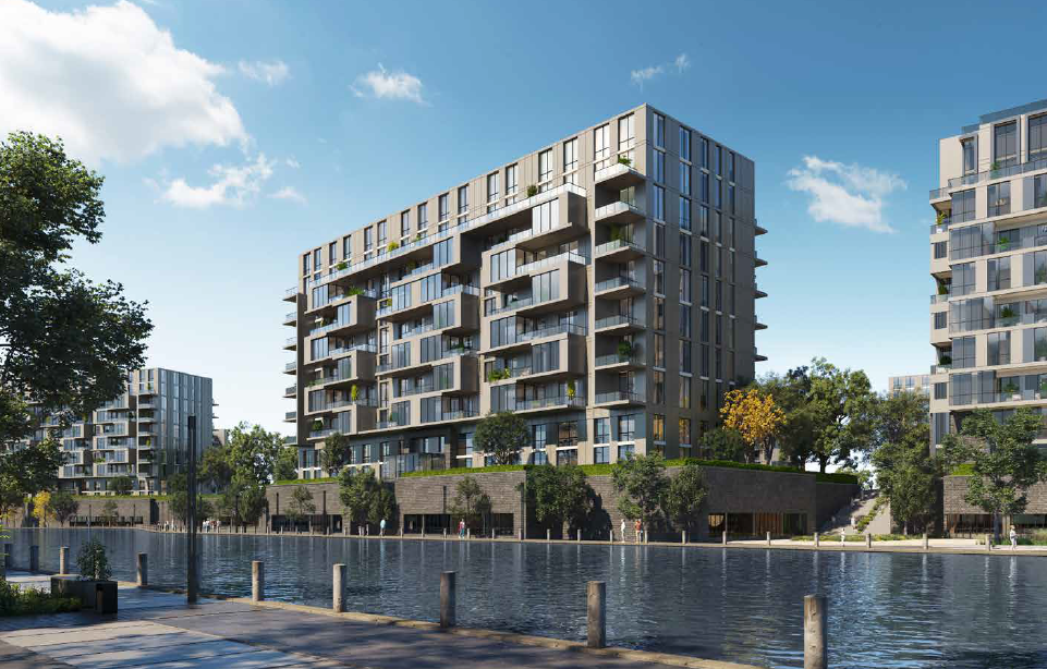 205 Arkan Palm 3