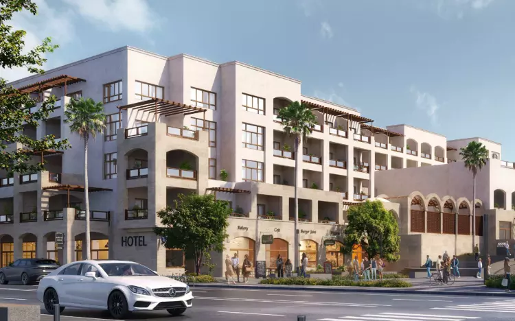 205 Compound 205 Zayed 5