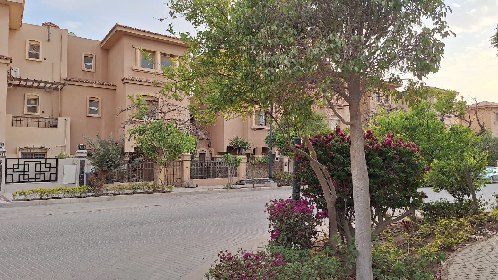 دارا جاردنز 5