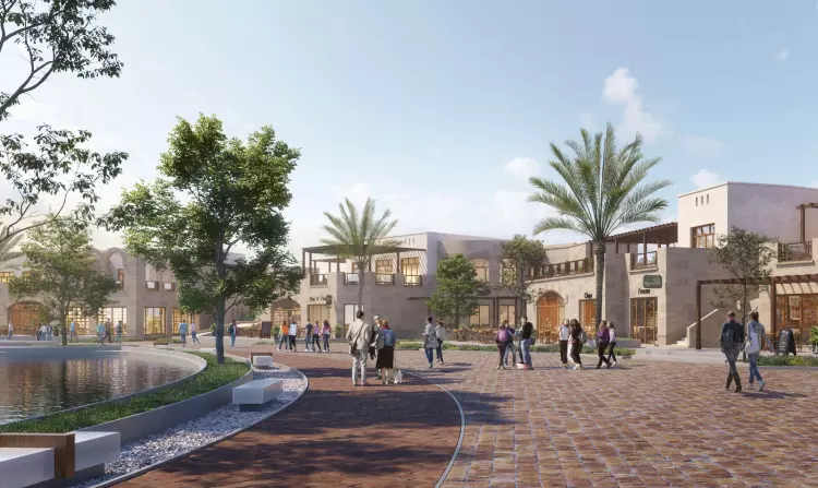 205 Compound 205 Zayed 4
