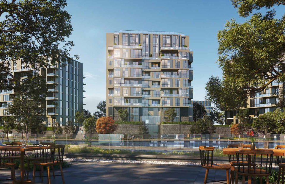 205 Arkan Palm 2