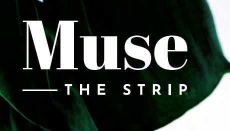 The Muse New Cairo 1