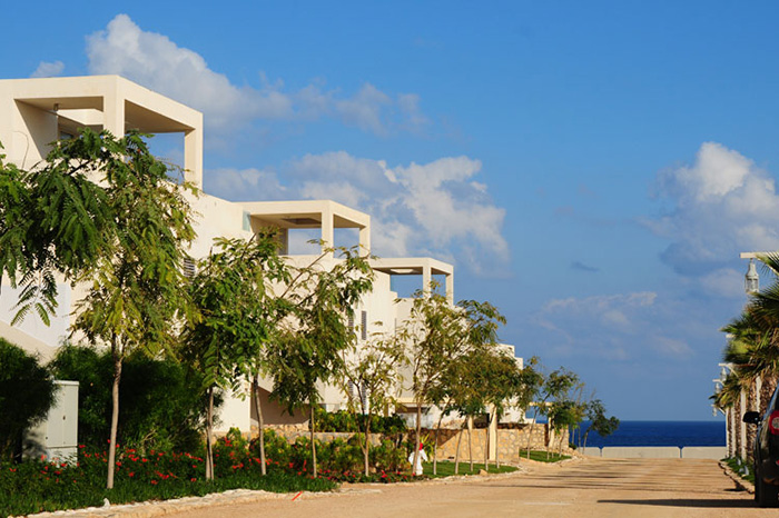 Hacienda White 4