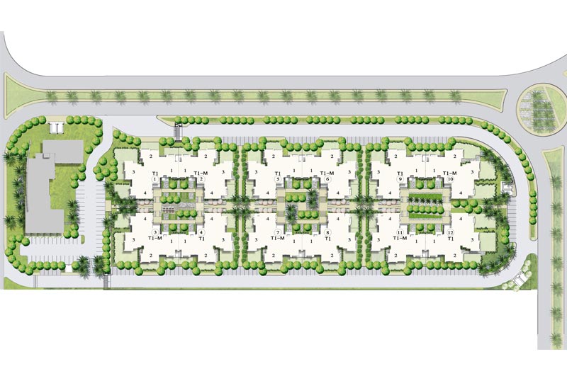 شارع القرية master plan