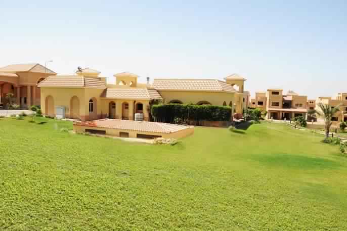 La Rose New Cairo 2