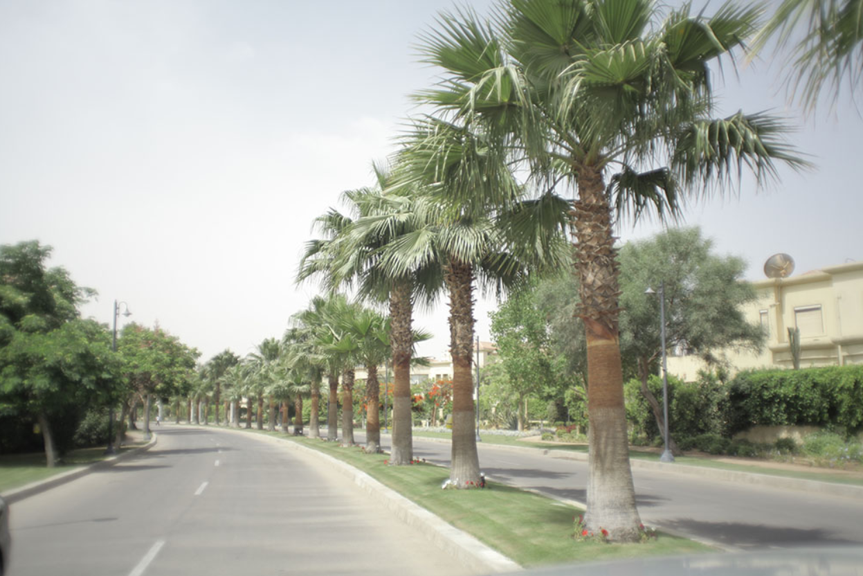 Gardenia Park 1 2