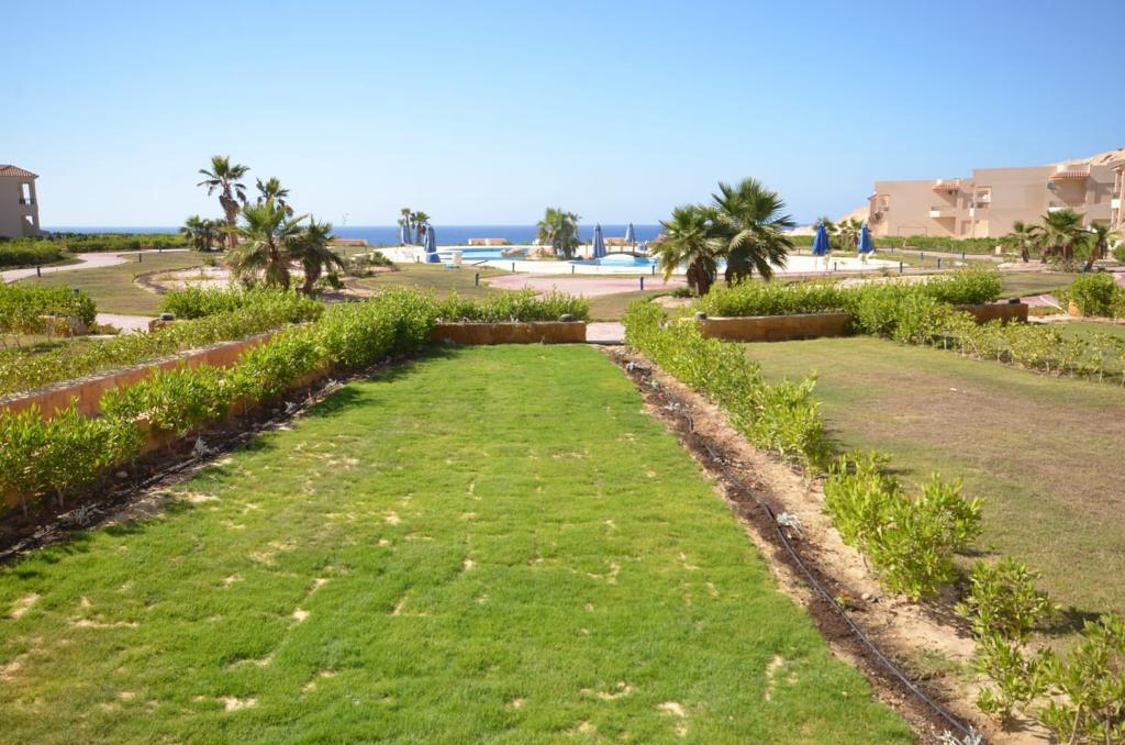 Coral Hills 2