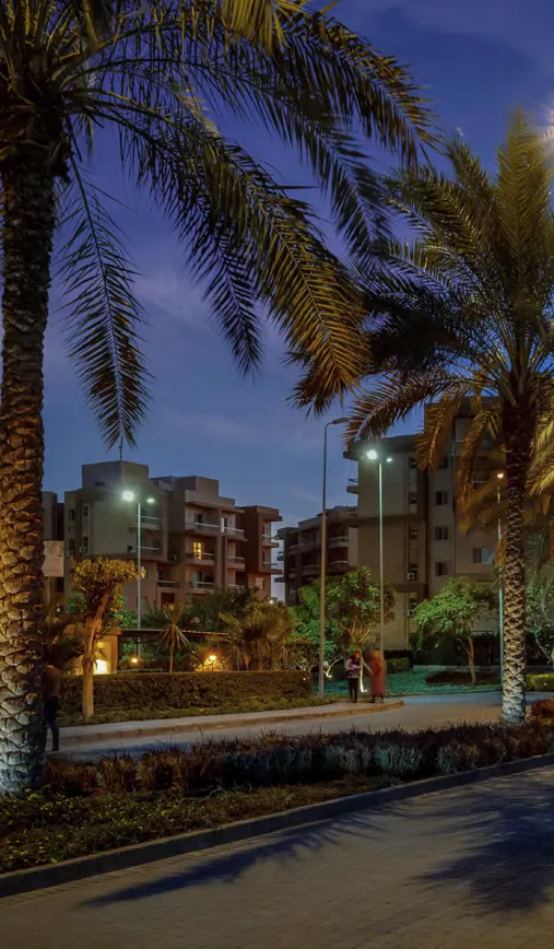 أشجار سيتي