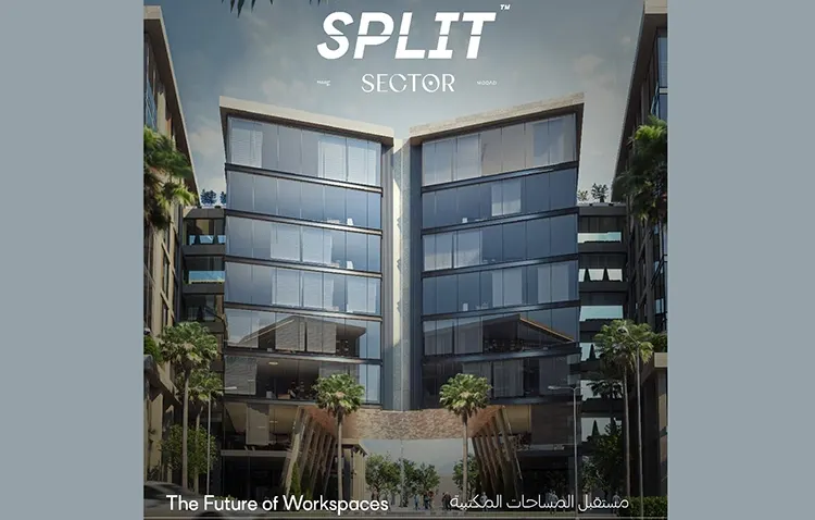 Mall Sector New Capital 4