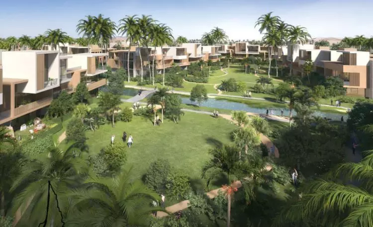 Marville New Zayed 5
