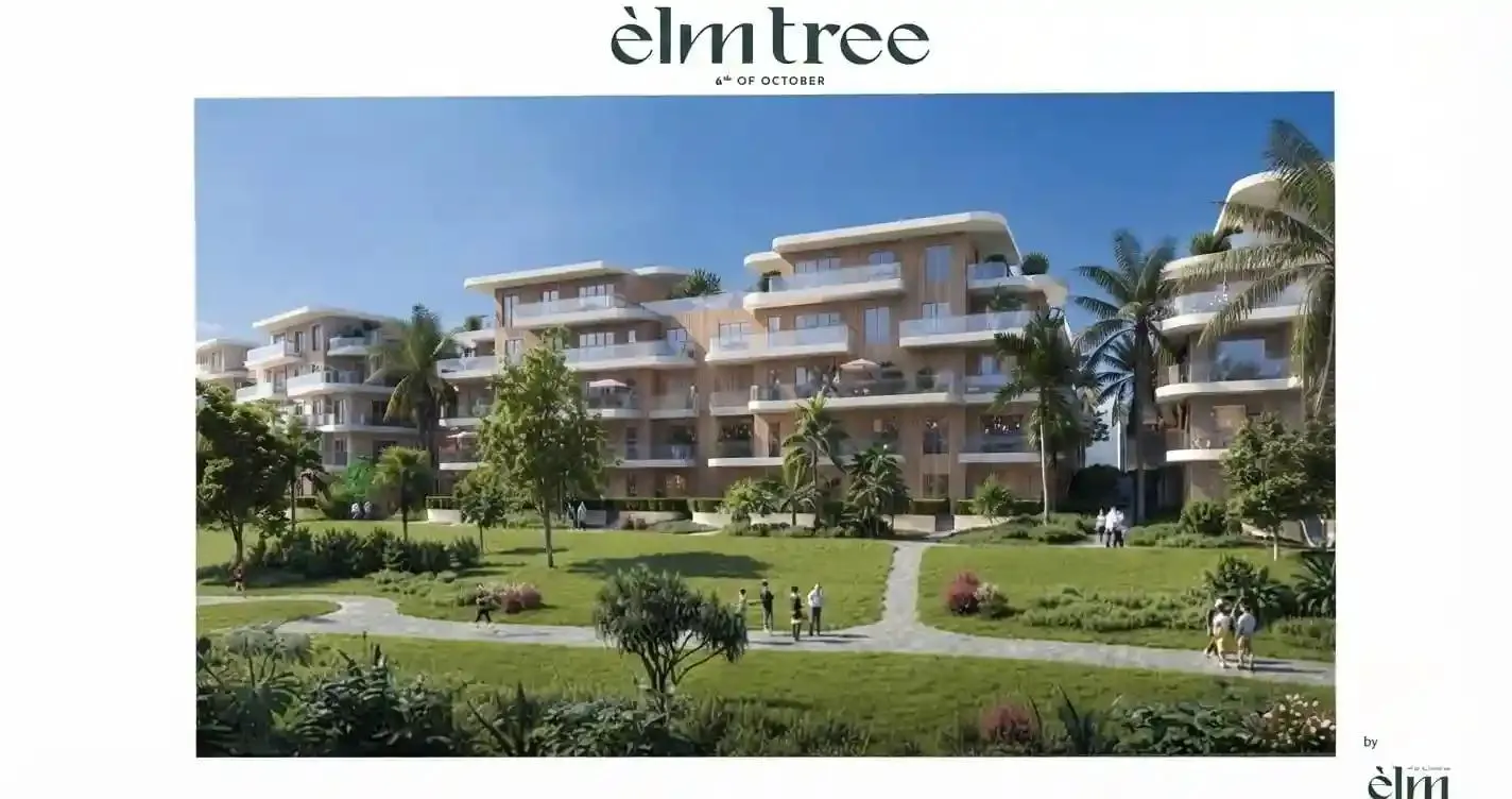 ELM Tree compound 6 October